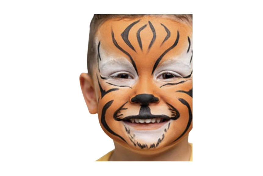 Kit maquillage 3 fards Namaki BIO tigre & renard -Carnaval fête enfant