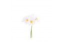 6 marguerites sur tige