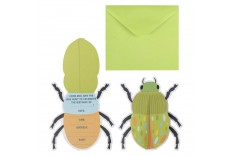 5 Invitations insecte pop-up