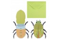 5 Invitations insecte pop-up