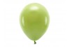 Ballon olive - Set de 10 ballons