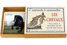 J'apprends à reconnaitre les chevaux