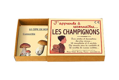 J'apprends à reconnaitre les champignons