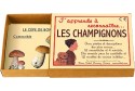 J'apprends à reconnaitre les champignons