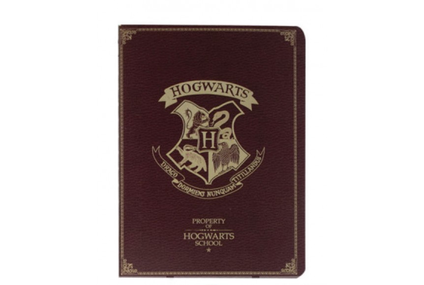 Harry Potter  Carnet A6 Edwige, lunette,  Cadeau fête sorcier enfant